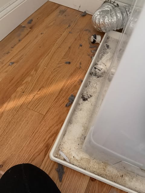 Before cleaning
